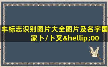 车标志识别图片大全图片及名字国家卜\卜叉…00